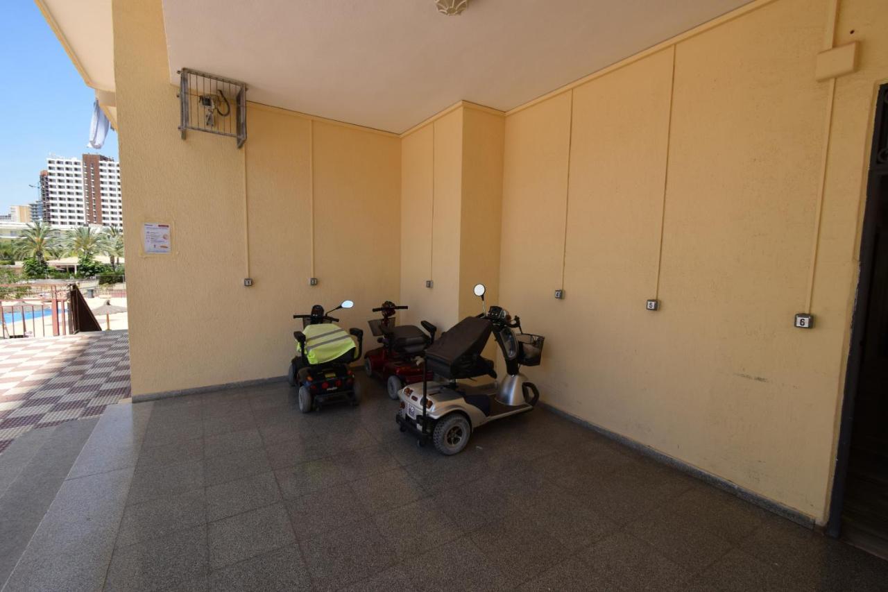 Acuarium 3 - Fincas Arena Benidorm Luaran gambar